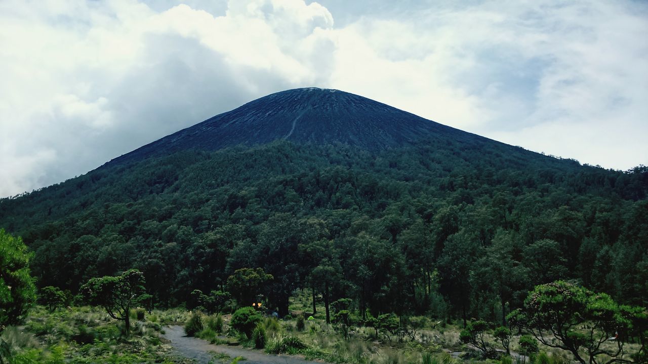 Kalimati ,jalur pendakian semeru Taman nasional Dieng