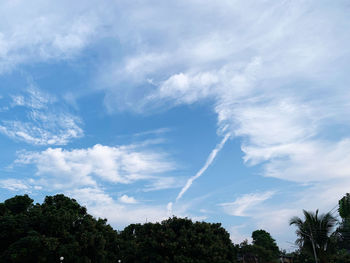 Low angle view of trees against sky