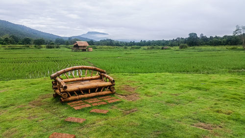 Scenic view of agricultural field against sky