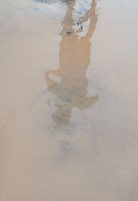 High angle view of puddle on beach
