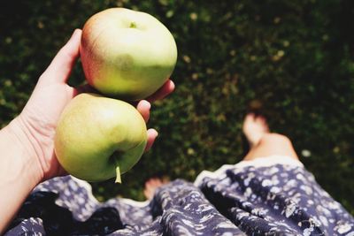 Low section of woman holding apples