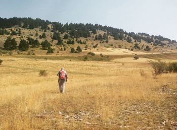 Rear view of hunter walking on grassy field