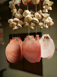 Close-up of shells on the for sale