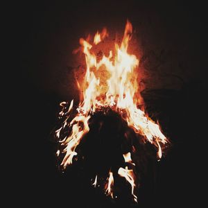 Close-up of bonfire at night