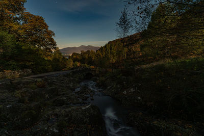 nature