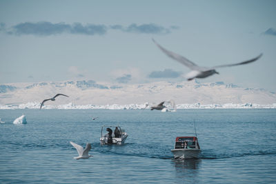 Seagulls flying over sea against sky