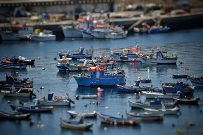 High angle view of sailboats moored in harbor