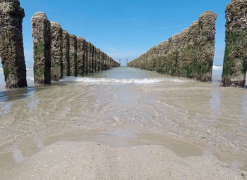 Panoramic shot of water amidst trees against sky