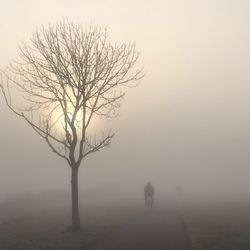 Bare tree on landscape against clear sky