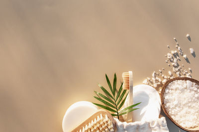 Close-up of plant on table