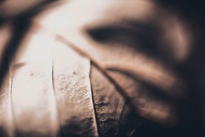 close-up