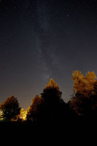 Low angle view of silhouette trees against sky at night