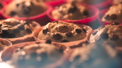 Close up of chocolate muffins in the oven