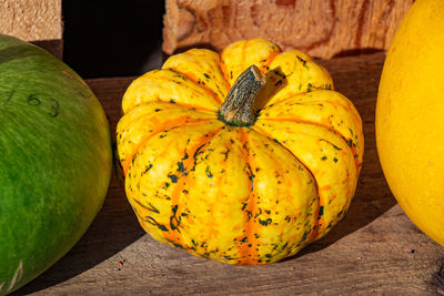 The pumpkin picture was taken at the pumpkin exhibition in the blooming baroque in ludwigsburg.