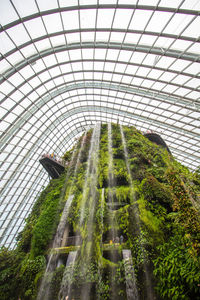 Low angle view of greenhouse