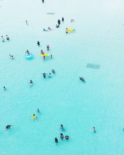 High angle view of people in swimming pool