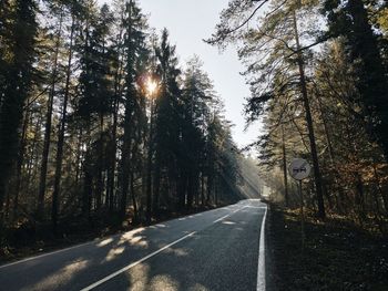 Road amidst trees in forest