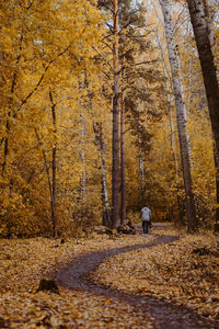 An elderly man walks alone in an autumn park along a winding path