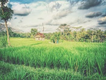 Scenic view of grassy field against cloudy sky