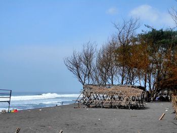 Bare tree on beach against sky