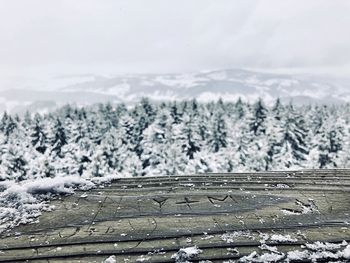 Table against sky in forest during winter