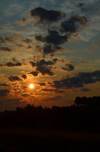 Silhouette trees against sky during sunset