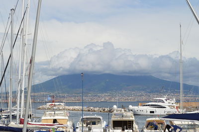 Sailboats moored at harbor against sky