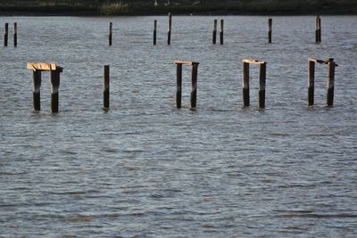 Wooden posts in sea