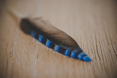 Close-up of feather on table