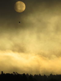 Low angle view of moon in sky at sunset