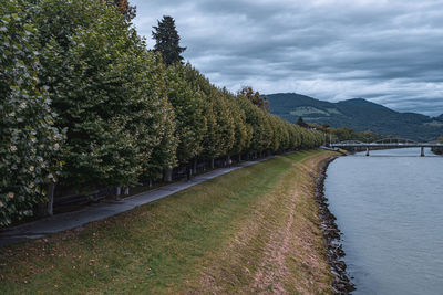 Panoramic view of road by trees against sky