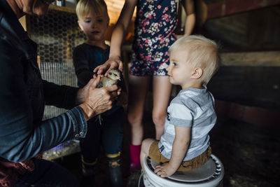 Midsection of grandmother showing baby chicken to grandchildren in barn