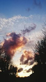 Silhouette of trees against cloudy sky