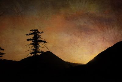 Silhouette tree against sky during sunset