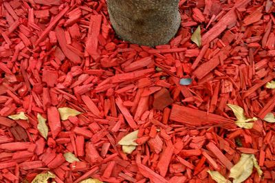 Full frame shot of red chili peppers for sale in market