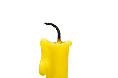 Close-up of yellow pepper against white background