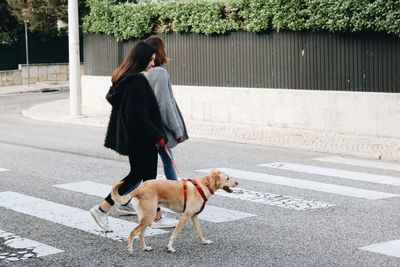 Rear view of man walking with dog on road