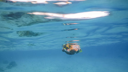 Young women coral reef scuba diving in sea ocean of curacao