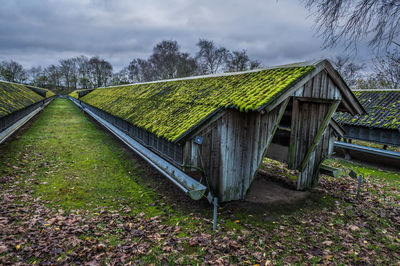 Abandoned mink houses in denmark after corona virus