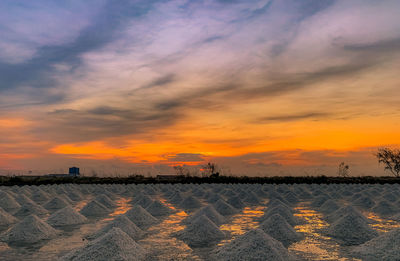 Scenic view of field against sky during sunset