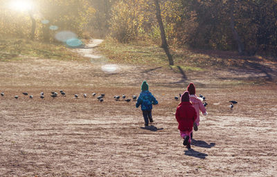 Happy children running after birds, outdoor activities. people from the back. copy space