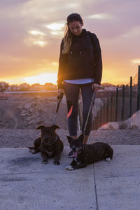 Woman with dogs standing against sky during sunset