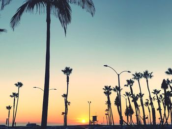 Silhouette palm trees against sky during sunset