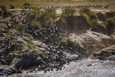 Scenic view of waterfall