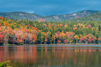 Scenic view of lake by trees during autumn