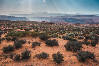 Scenic view of landscape against sky