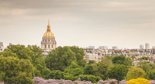 Trees and buildings against sky