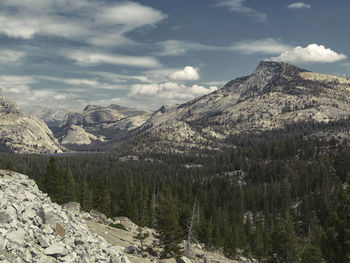 Scenic view of landscape and mountains against sky