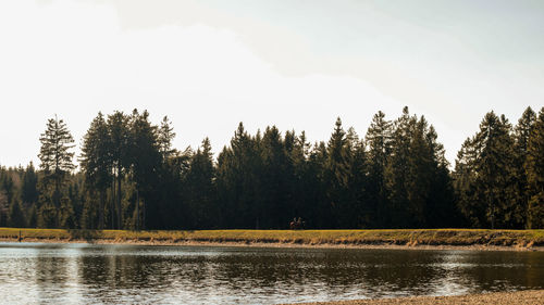 Scenic view of lake in forest against sky