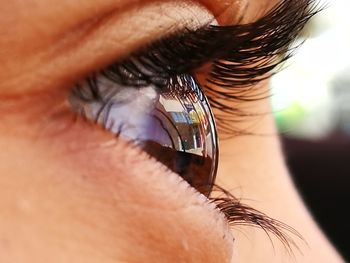 Close-up of human eye